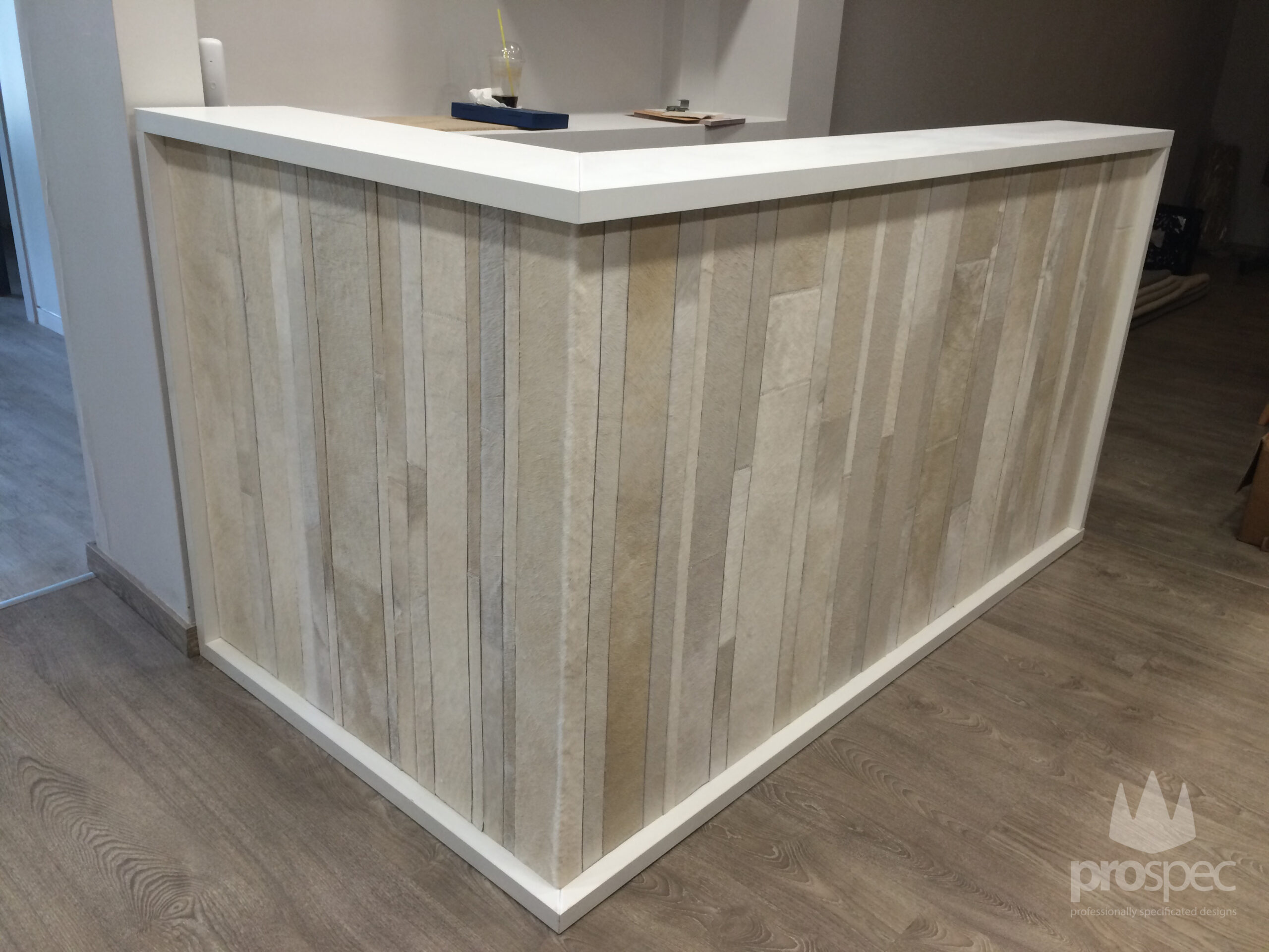 FurLines Reception for Tapicap