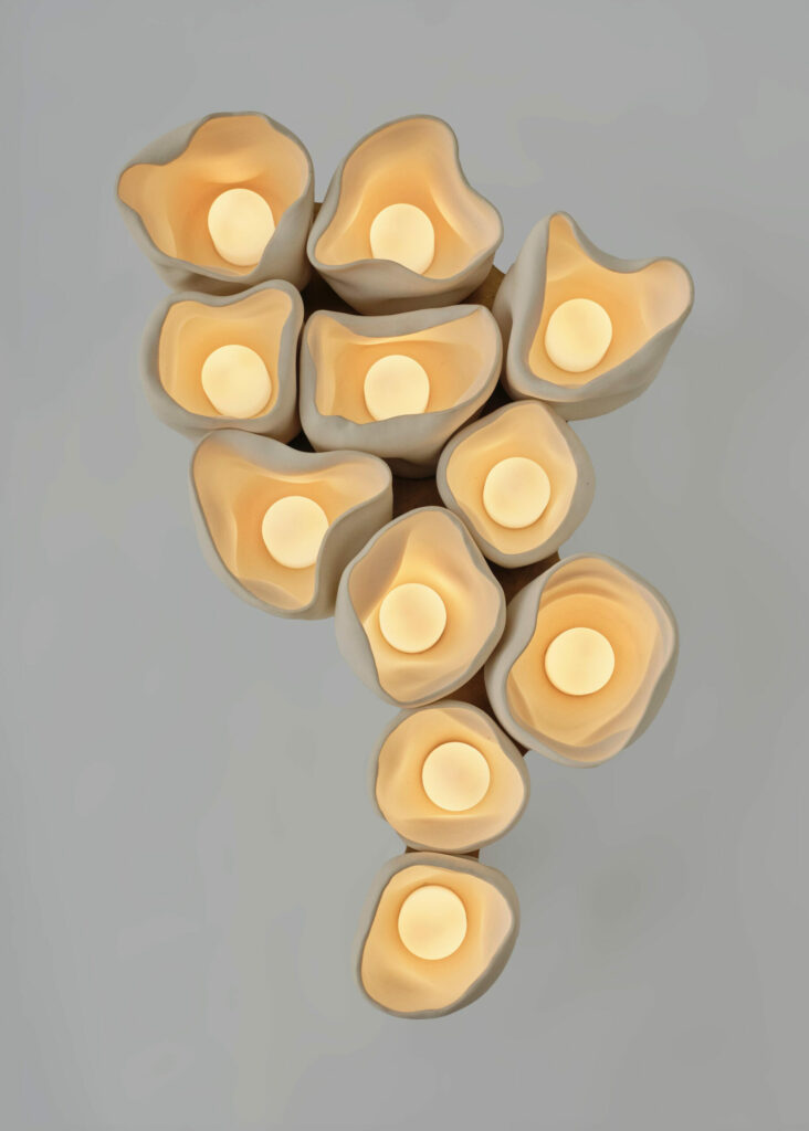 Nader Gammas Vessels Scarlet Cluster